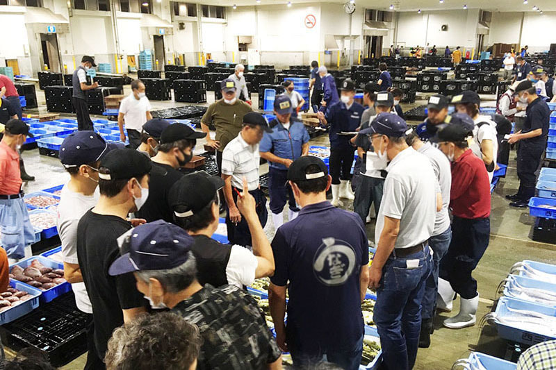 魚市場の競りの様子